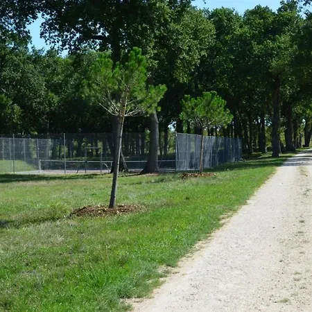 La Maison Du Vignoble Piscine, Tennis, Wallbox بيت للعطل *