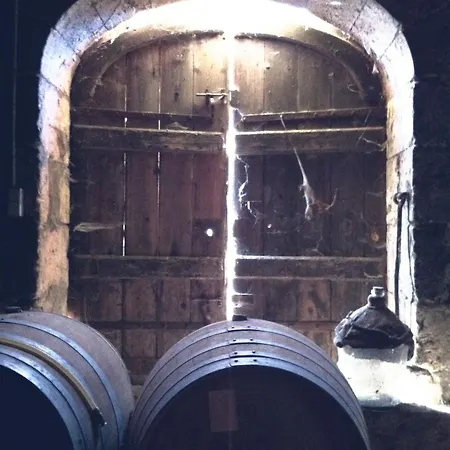 La Maison Du Vignoble Piscine, Tennis, Wallbox ليكتور