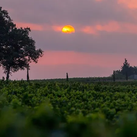 La Maison Du Vignoble Piscine, Tennis, Wallbox Prázdninový dům *