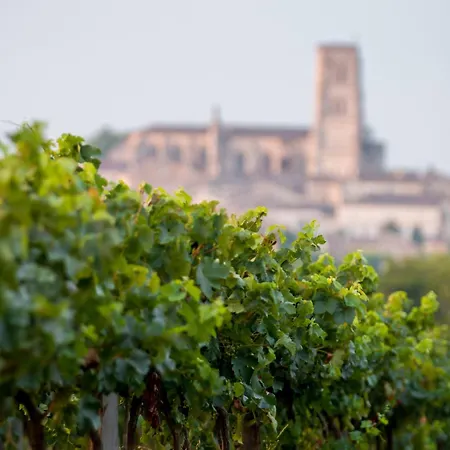 Prázdninový dům La Maison Du Vignoble Piscine, Tennis, Wallbox Lectoure