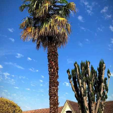 La Maison Du Vignoble Piscine, Tennis, Wallbox Lectoure