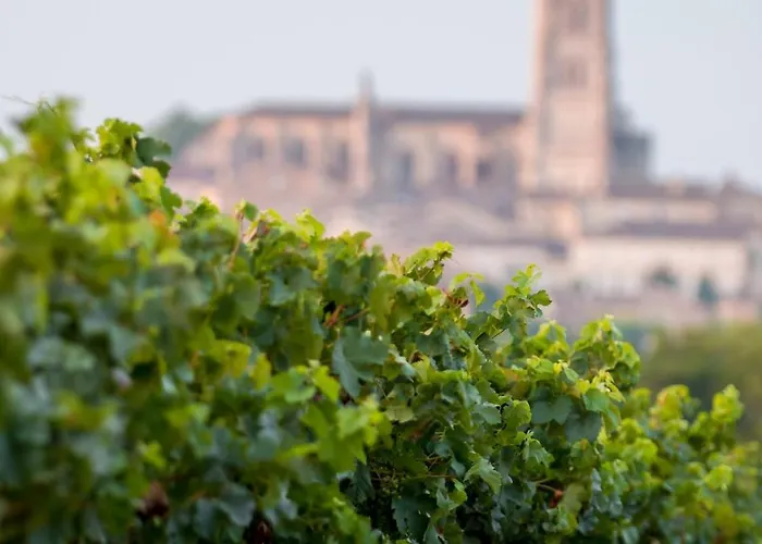 Vakantiehuis La Maison Du Vignoble Piscine, Tennis, Wallbox Lectoure
